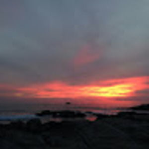 Meet your Posher, Jace